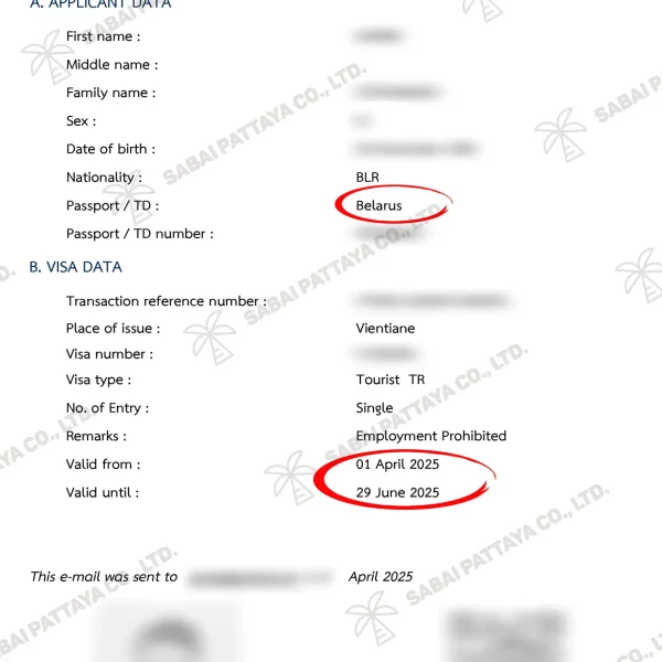 e-Visa_F1302242n
